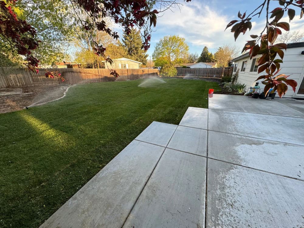 Lush green backyard with patio and trees under a clear sky. Ideal for outdoor activities.
